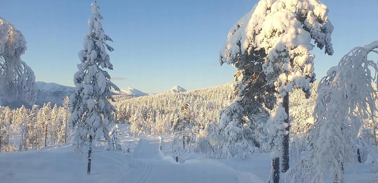 Libehi Villa Lona Exteriör bild