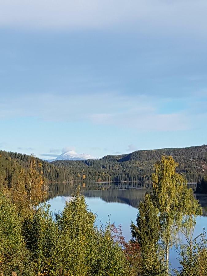 Panorama Cabin- Jacuzzi Available October 2025-May 2026 Lona Exteriör bild